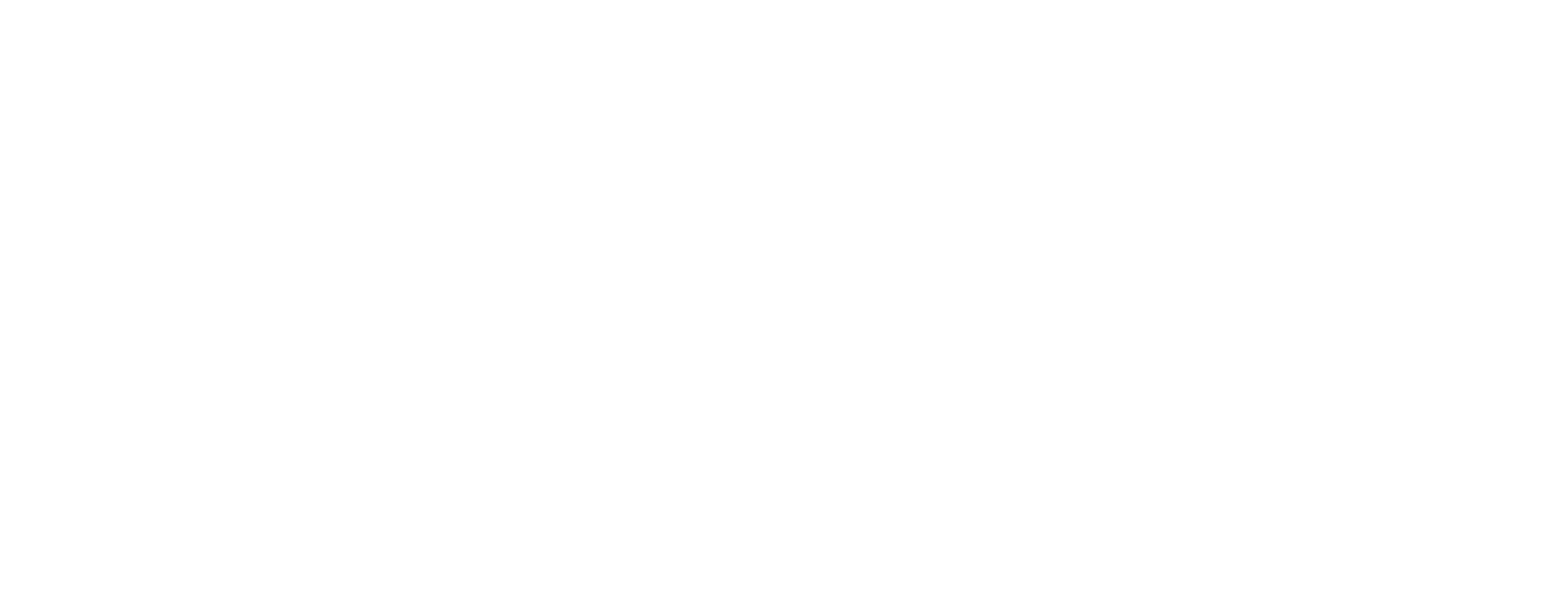 CACE - Cámara Argentina de Comercio Electrónico